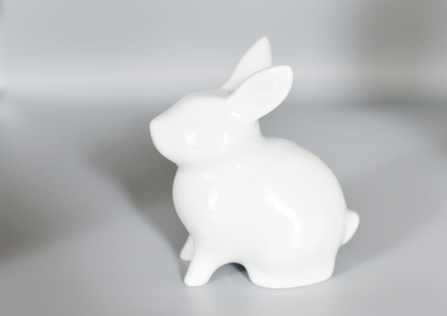 MiniRex Rabbit Universal White