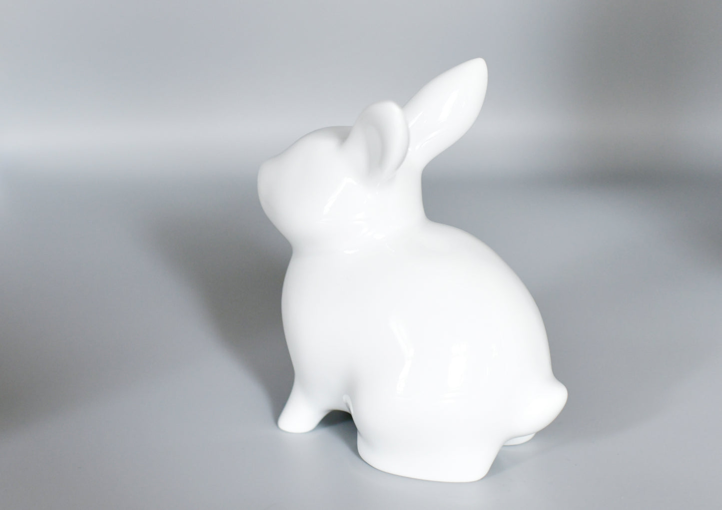 MiniRex Rabbit Universal White