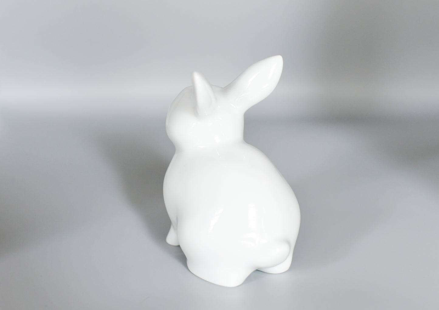 MiniRex Rabbit Universal White